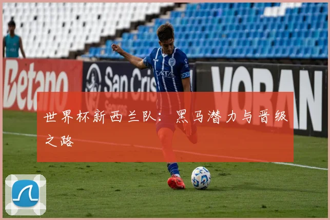 世界杯新西兰队：黑马潜力与晋级之路