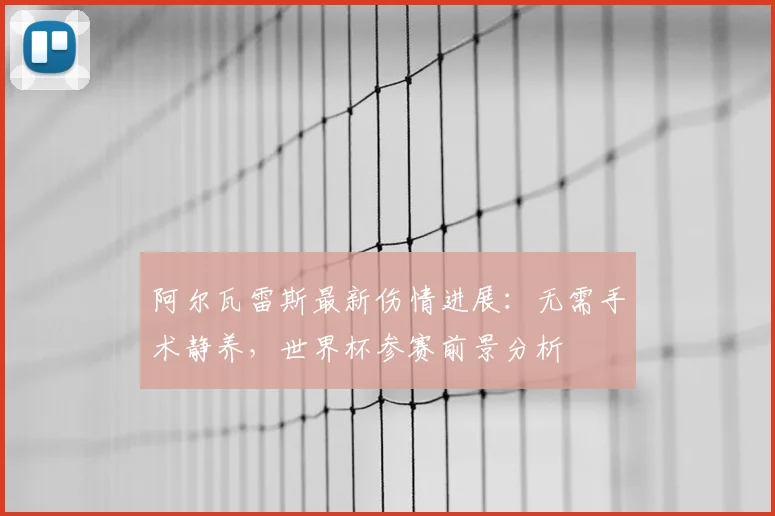 阿尔瓦雷斯最新伤情进展：无需手术静养，世界杯参赛前景分析