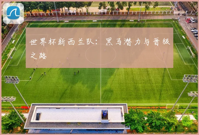 世界杯新西兰队:黑马潜力与晋级之路