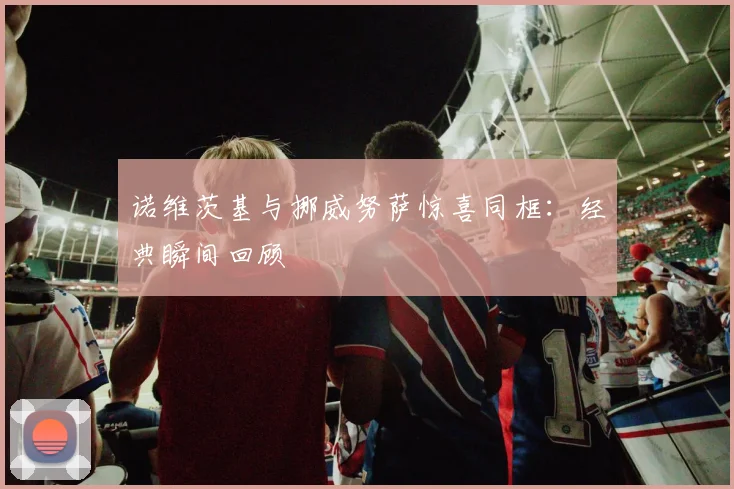 诺维茨基与挪威努萨惊喜同框：经典瞬间回顾