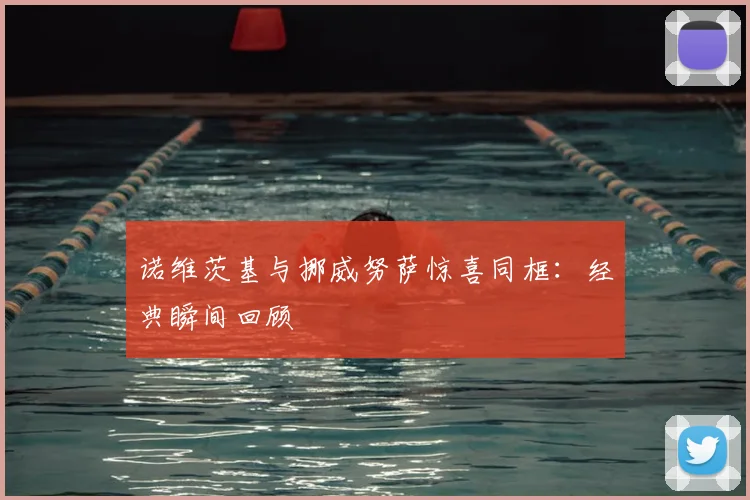 诺维茨基与挪威努萨惊喜同框:经典瞬间回顾